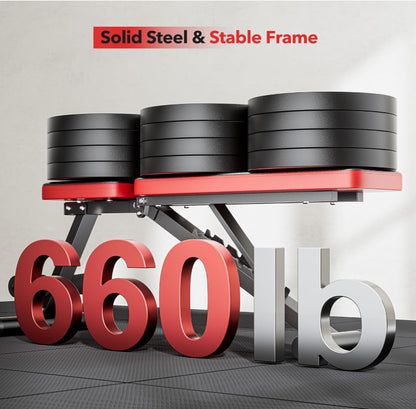 Basic Weight Bench for Home Gym, Foldable Workout Bench with 8 Backrests