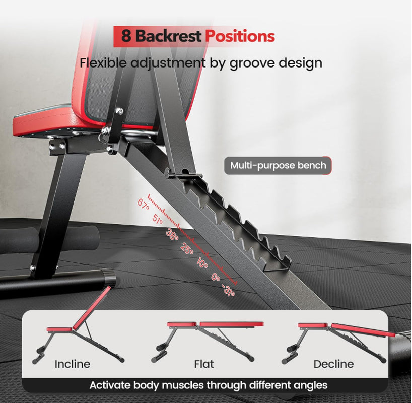 Basic Weight Bench for Home Gym, Foldable Workout Bench with 8 Backrests