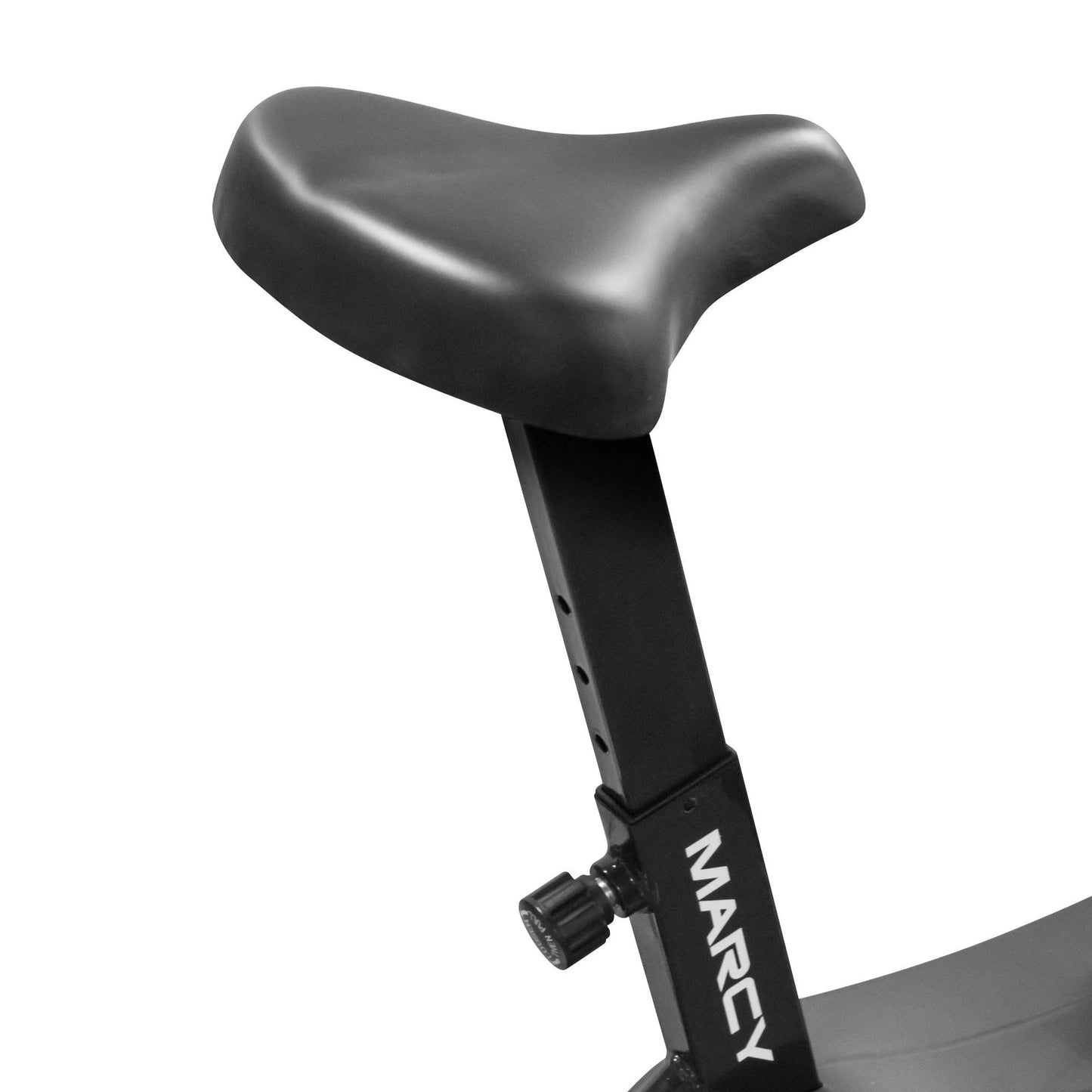 Fan Exercise Bike NS-1000