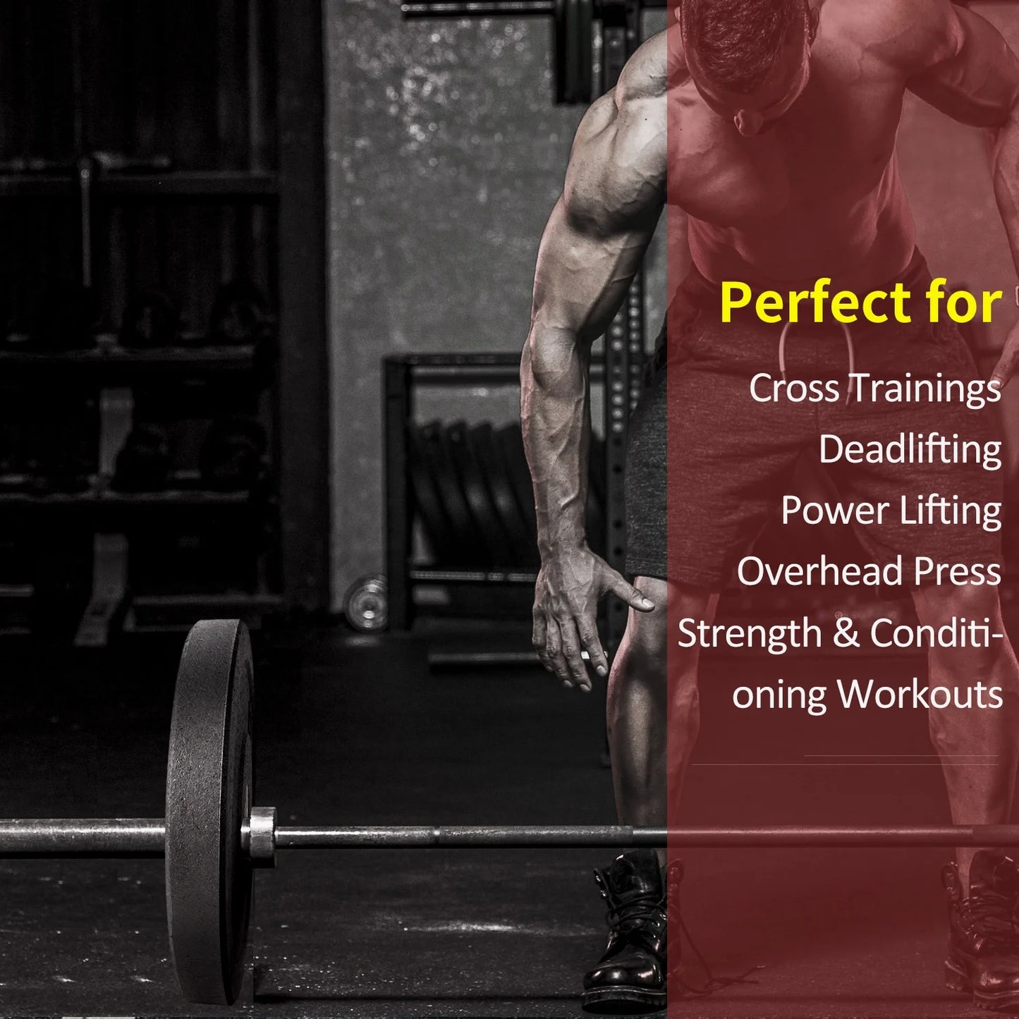 Olympic Crumb Rubber Bumper Weight Lifting Plate for Cross Training, Olympic Lifting, Powerlifting, Strength & Conditioning, Fits 2 In. Diameter Barbell - 35 Lb. Single