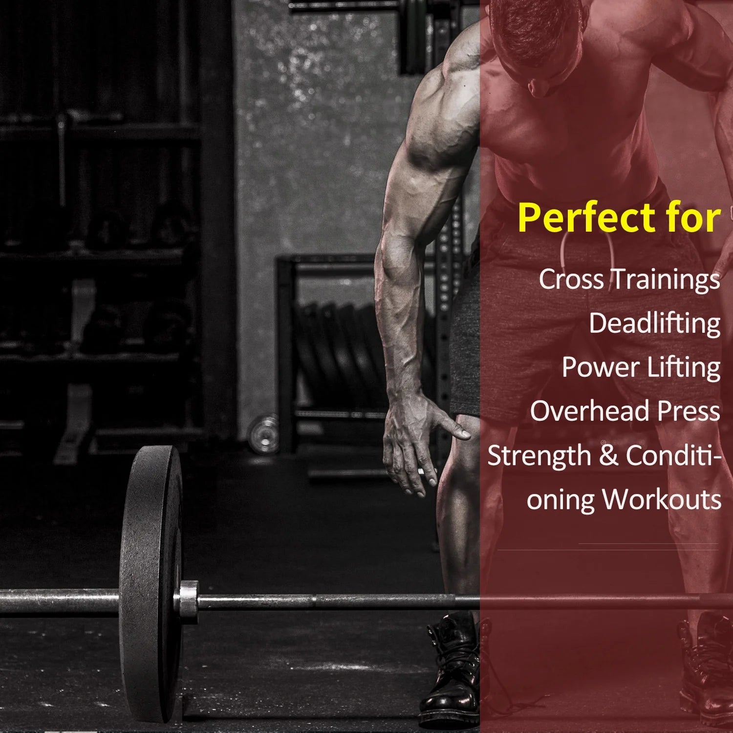 Olympic Crumb Rubber Bumper Weight Lifting Plate for Cross Training, Olympic Lifting, Powerlifting, Strength & Conditioning, Fits 2 In. Diameter Barbell - 35 Lb. Single