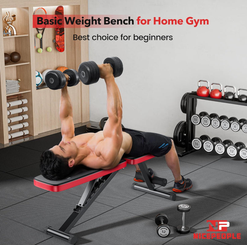 Basic Weight Bench for Home Gym, Foldable Workout Bench with 8 Backrests
